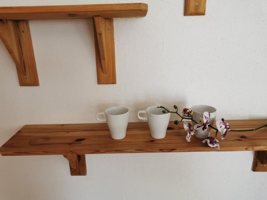 לנדבה Apartma Lindau מראה חיצוני תמונה