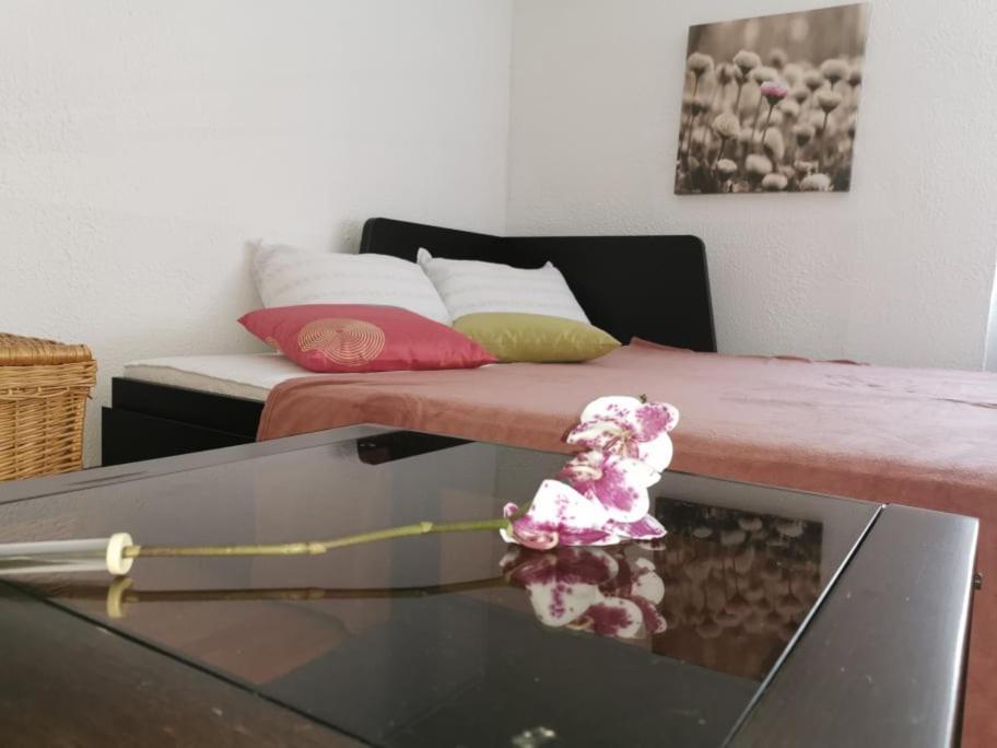 לנדבה Apartma Lindau מראה חיצוני תמונה